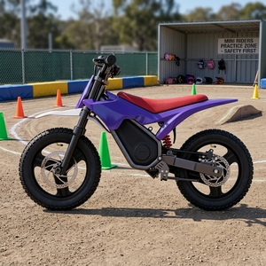 Mini motos tout-terrain 36V pour enfants : libérez les sensations fortes et les aventures ! Moteur sans balais offrant une accélération puissante et une conduite fluide. - Product Image 1