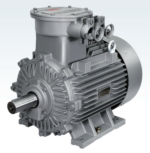 Motor de Inducción Trifásico Innomotics BT4 1MB0063 de 4 Polos, 380V, 50HZ, Bajo Voltaje, a Prueba de Explosiones y Llamas, 0.55-15kW BT4 High Vo - Product Image 3