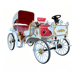 Carrozas eléctricas de turismo y carrozas de boda personalizables, directamente de fábrica, a precios bajos. - Product Image 4