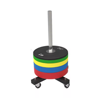 Support de rangement mobile pour haltères et barres SM avec roulettes lisses – Support de plaques de poids peu encombrant pour salle de sport