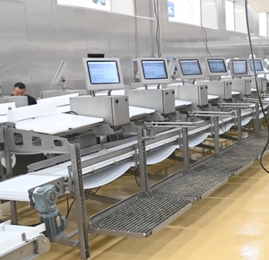 Ligne de convoyage industrielle intelligente pour abattoir avec suivi des données et traitement automatisé - Product Image 1