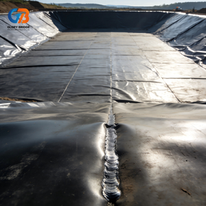 Géomembrane HDPE 2 mm pour dépon, revêtement de bassin, lac artificiel, dépon, ferme piscicole, revêtement de barrage - Product Image 4