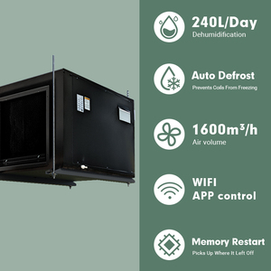 Deshumidificador Comercial de Pared y Techo con Capacidad de 240L/Día, Precio de Fábrica - Product Image 4