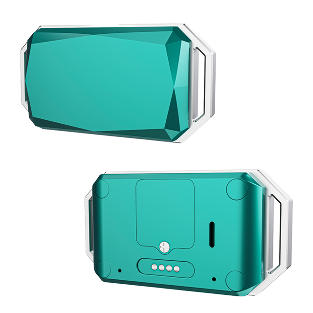 Global G58 IP67 Waterproof Dog Collar 4G GPS WiFi Fitness Tracker 365GPS Web Android Plastic Free Health Monitoring for Pets