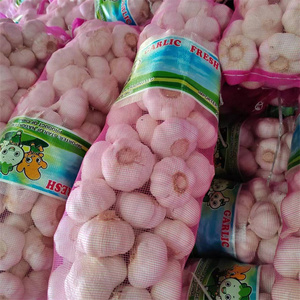 g1大蒜种子中国大蒜供应商，价格便宜的生大蒜出售 - Product Image 2