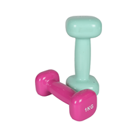 Haltères carrés d'entraînement de fitness pour la salle de sport, haltères en fonte recouverts de vinyle pour femmes, 0,5 kg à 5 kg
