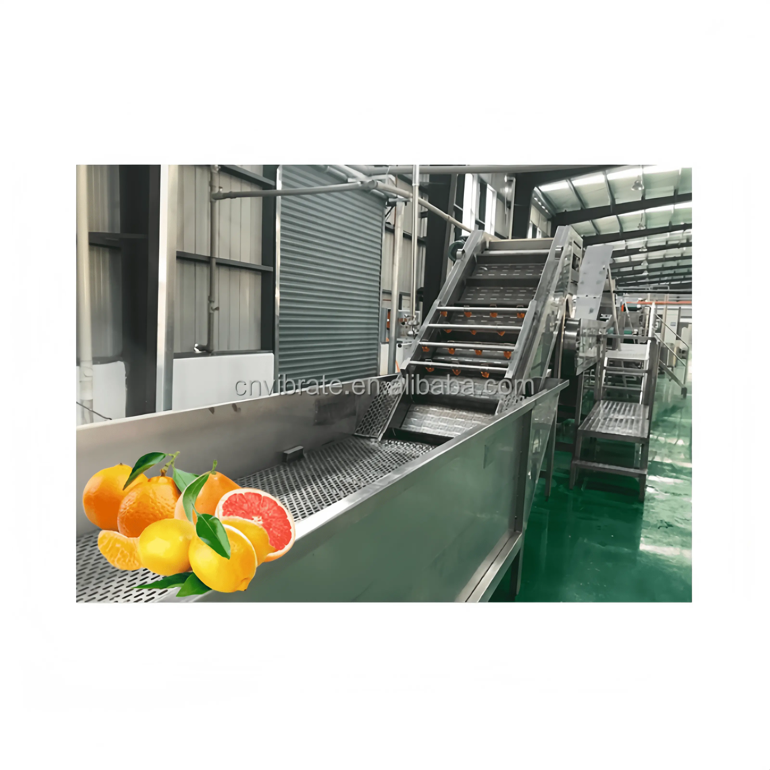 VBJX Machine de nettoyage de fraise, mangue, raisin, légumes Machine de nettoyage de bulles Machine de nettoyage de fruits Convoyeur Ligne Prix