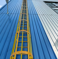 Échelle de sécurité murale sur mesure, antirouille, protection contre les chutes pour usine, toit, fabrication DIY ODM