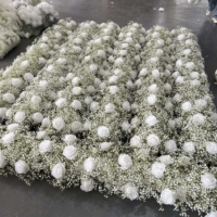 Guirlande de roses blanches très demandée pour centres de table, arche artificielle pour décoration de mariage, rangée florale pour allée
