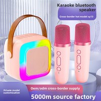 Karaoké portable transfrontalier à modèle privé pour haut-parleur KTV, avec basses profondes, lumières LED RGB et microphone sans fil en ABS