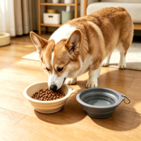 Gamelle pliable en silicone réglable pour chien, distributeur de nourriture lente, bol d'eau portable pour le camping, la randonnée, les chats et les poulets