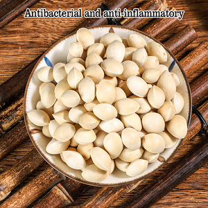 Herbes chinoises biologiques, graines de Ginkgo brutes séchées Bai <span class=keywords><strong>Guo</strong></span> en gros pour la santé et le bien-être naturels des reins - Product Image 2