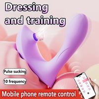 2 en 1 Multiples façons de jouer Massage du clitoris par succion des mamelons Vibrateur portable Masseur vaginal Plug anal pour femmes