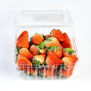 Envase Desechable de PET Transparente <span class=keywords><strong>para</strong></span> Fruta Fresca, <span class=keywords><strong>Frambuesas</strong></span>, Arándanos, Caja de Plástico Tipo Concha <span class=keywords><strong>para</strong></span> Fresas - Product Image 2
