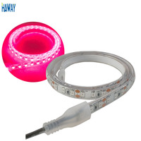 Produit phare : Bande lumineuse LED flexible rouge 660 nm 12 V CC pour la protection de la peau, utilisée dans les appareils de beauté