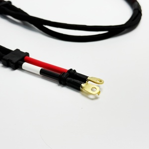 Cable de alimentación del brazo frontal DJl Agras T70 T70P 000796, cable principal del motor ESC de alta corriente, compatible con M2 M4, brazo frontal largo, piezas de repuesto para UAV agrícola - Product Image 6