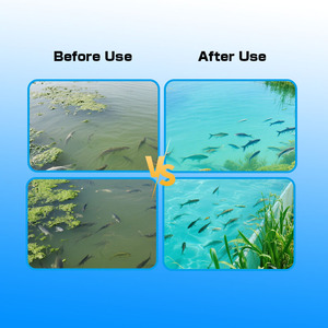 CY AquaTox Clear: Sauerstoff-Booster & Appetitanreger & Wasserqualitätsregulator & Entgiftungsmittel - Product Image 5