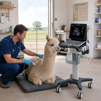 Échographe portable couleur Mindray Z70 Vet pour petits animaux et grands animaux d'élevage, équipement vétérinaire