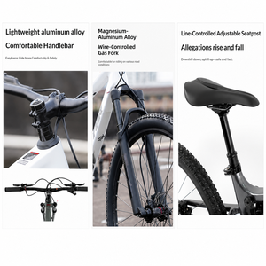 OVERLORD Carbon Fiber <b>Frame</b> 12-Speed Soft-tail <b>Mountain</b> <b>Bike</b> Thru-Axle Dual Disc Brakes Front-Rear XC Cross-Country 27.5/29 - Product Image 2