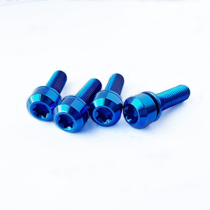 Ốc Vít Bu Lông Titan Tùy Chỉnh Bán Sỉ Nhà Máy Đầy Màu Sắc - Product Image 5