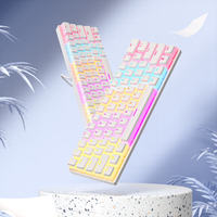 Clavier de jeu mécanique filaire USB compact 61 touches avec rétroéclairage LED, touches OEM Pudding, pour usine