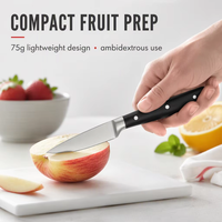 Xyj couteau de cuisine de 4 pouces 3CR14, manche en acier inoxydable ABS, couteau à fruits