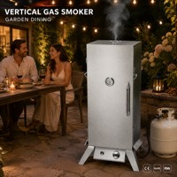 Fumoir à gaz en acier inoxydable en gros, 4 niveaux, allumage électronique, barbecue extérieur, OEM