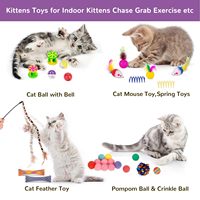 Terowongan Mainan Kucing Lipat dengan Paket Mainan Interaktif untuk Anak Kucing, Tongkat Bulu, Bola, Lonceng, Pegas, Tikus, Mainan Kucing