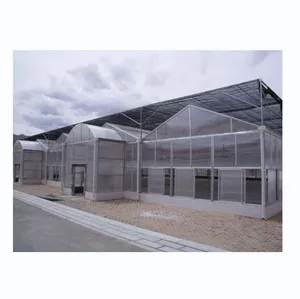 Multi-span agricultural greenhouse Industrial Polycarbonate sheet greenhouses China greenhouse Supplier