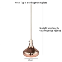 Lampe chauffante infrarouge rétractable pour aliments, chauffe-plats suspendu pour buffet, pizza, rôtis, usage commercial pour hôtels et restaurants