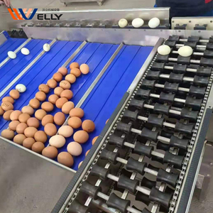 Clasificador automático de tamaño de huevo maquinaria de clasificación graduadora pequeña máquina clasificadora de huevos de pollo precio - Product Image 6