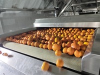 1~25 ton per uur op maat gemaakte, industriële, automatische, complete citrus- en sinaasappelsapverwerkingsinstallatie van roestvrij staal van voedingskwaliteit