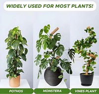 Support pour Plantes Monstera en Mousse, 2 Pièces, 28 Pouces, Pliable