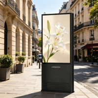 Kiosque numérique extérieur ultra-plat étanche IP66 3000 nit de 32, 43, 49, 55, 65, 75 pouces pour hôtels, campus et centres commerciaux