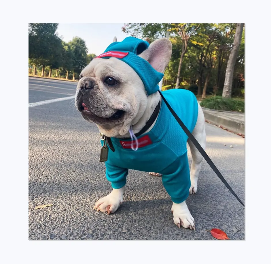 Разноцветная вязаная одежда для домашних животных, известная в США трендовая уличная мода с логотипом, брендовый дизайн, свитер и шапка для собак