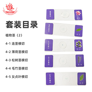 5 - Product Image 5