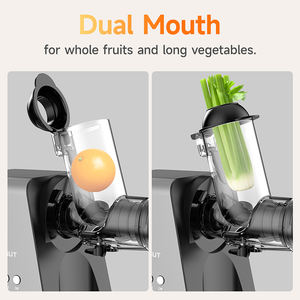 Presse-agrumes lent entier Nutriments et vitamines plus élevés Presse à froid <span class=keywords><strong>Petit</strong></span> extracteur de jus Presse-agrumes lent à grande bouche - Product Image 3