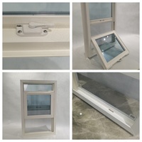 Fenêtres à double vitrage sur mesure résistantes Fenêtres à guillotine en PVC Fenêtres en vinyle durables