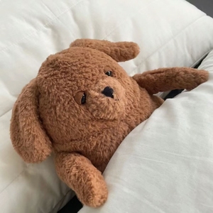 Peluche de Perro Jelly Cats Amore a Precio de Fábrica, Juguete de Peluche Suave al por Mayor para Tiendas de Regalos y Boutiques - Product Image 4