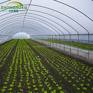 Grande <span class=keywords><strong>serre</strong></span> <span class=keywords><strong>tunnel</strong></span> pour tomates, <span class=keywords><strong>filet</strong></span> d'<span class=keywords><strong>ombrage</strong></span>, serres agricoles, kit complet, structure de cadre, verre - Product Image 1