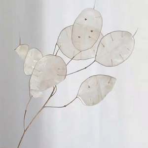 Naturel bouquet de fleurs sèches en gros préservé décoratif vraies fleurs séchées <span class=keywords><strong>lunaria</strong></span> <span class=keywords><strong>annua</strong></span> - Product Image 5