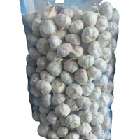 Ail blanc pelé Sinofarm, gousses d'ail chinois 4,5-6 cm, 10 kg/carton, sac en filet de 20 kg, prix de gros, ail frais congelé pour l'exportation