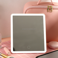 Organisateur de maquillage de voyage portable avec miroir LED détachable, boîte de rangement pour cosmétiques de bureau