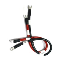Câble de barre omnibus CC noir avec borne annulaire pour batterie 300V 105C FT1 RoHS, fil de distribution d'énergie à extrémités serties, vente en gros OEM