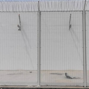 Panneaux <span class=keywords><strong>de</strong></span> clôture <span class=keywords><strong>de</strong></span> prison anti-escalade galvanisés à chaud 358, maille rigide soudée anti-coupure haute sécurité avec <span class=keywords><strong>pointes</strong></span> supérieures - Product Image 2