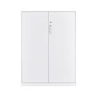 Armoire de rangement verticale en acier moderne à deux portes, ignifuge et étanche, pour la maison, le bureau et l'usage commercial