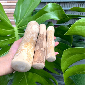 Meilleure Vente - Bâtonnet à Mâcher Grand Format en Bois de Café Naturel Biodégradable / Jouet à Mâcher pour Chien avec Logo Personnalisé Gravé au Laser par Eco2go - Product Image 1