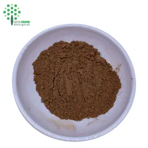 Suplemento para la Salud, Extracto de Hongo <span class=keywords><strong>Armillaria</strong></span> <span class=keywords><strong>Mellea</strong></span>, Extracción por Solvente, Polvo Puro, Empaquetado en Tambor - Product Image 4