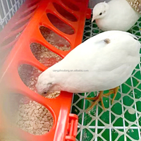 Nouveau Mangeoire Automatique Humide/Sèche à 16 Trous ZZ pour Pigeons et Poulets, Nettoyage Facile, Matériau PP Composite, Équipement Agricole