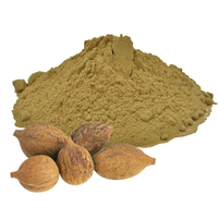 Poudre d'extrait séché par atomisation de Terminalia Bellirica, fabricant, fournisseur, exportateur, qualité supérieure, vente en gros